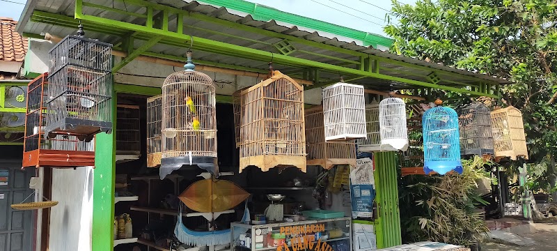 KRC Birdshop: Jantung Hobi Burung di Cilacap yang Tak Pernah Pudar
